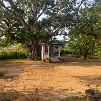 Whatsapp Image 2023 05 19 At 9.34.36 Am