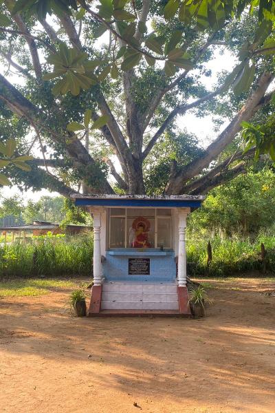 Whatsapp Image 2023 05 19 At 9.36.21 Am