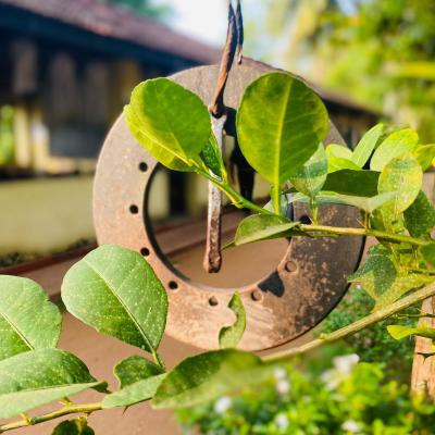 Whatsapp Image 2023 05 19 At 9.36.25 Am